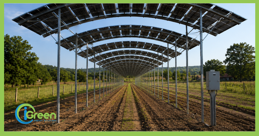 Agrivoltaico e orticoltura bioattiva: in Piemonte nasce il 